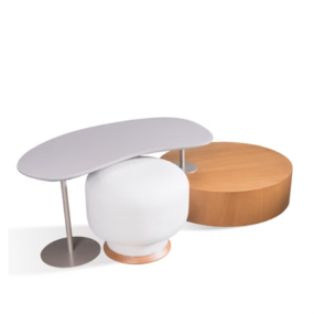 Mesa_de_Centro_plena_Thumb